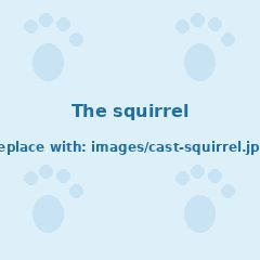 The Squirrel