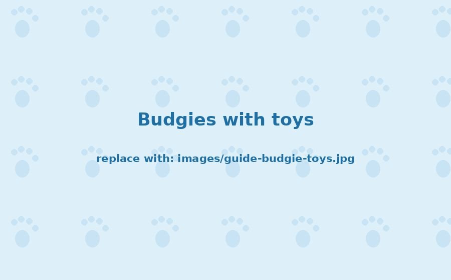 Best Budgie Toys to Keep Smart Birds From Getting Bored