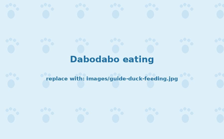 What Do Pekin Ducks Eat? A Backyard Duck Feeding Guide