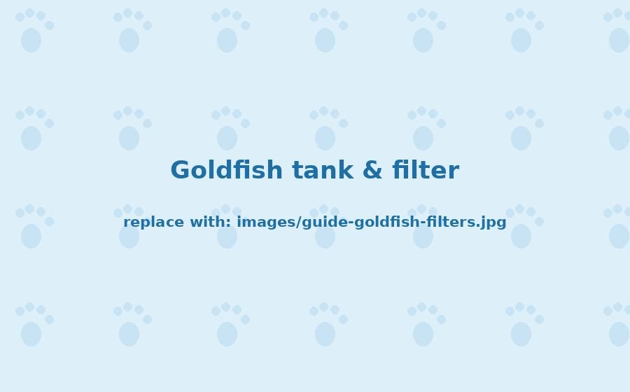 Best Goldfish Tank Filters for a Healthy Tank