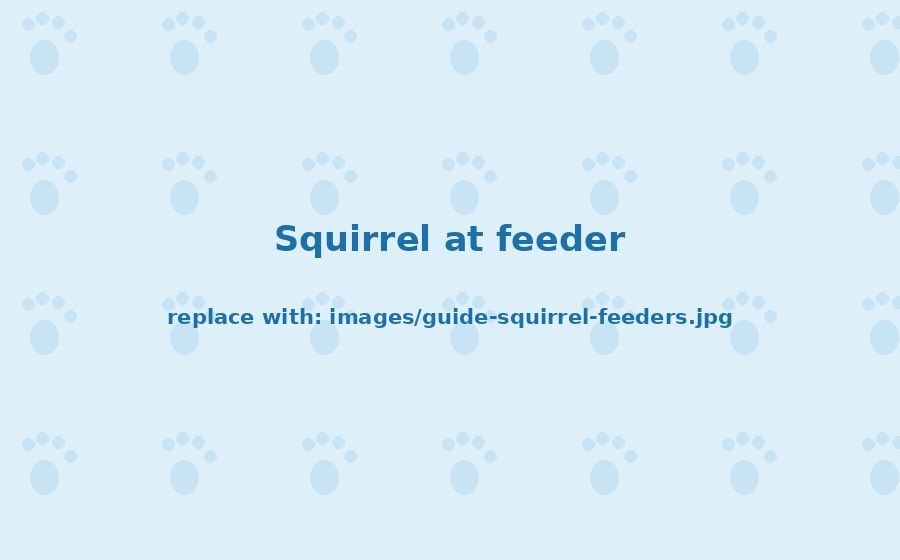 Best Squirrel Feeders That Keep Squirrels Happy and Bird Seed Safe
