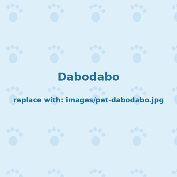 Dabodabo — Pekin duck, wears glasses