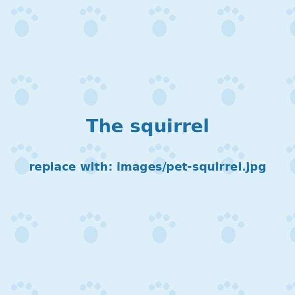 The Squirrel — Recurring guest, uninvited